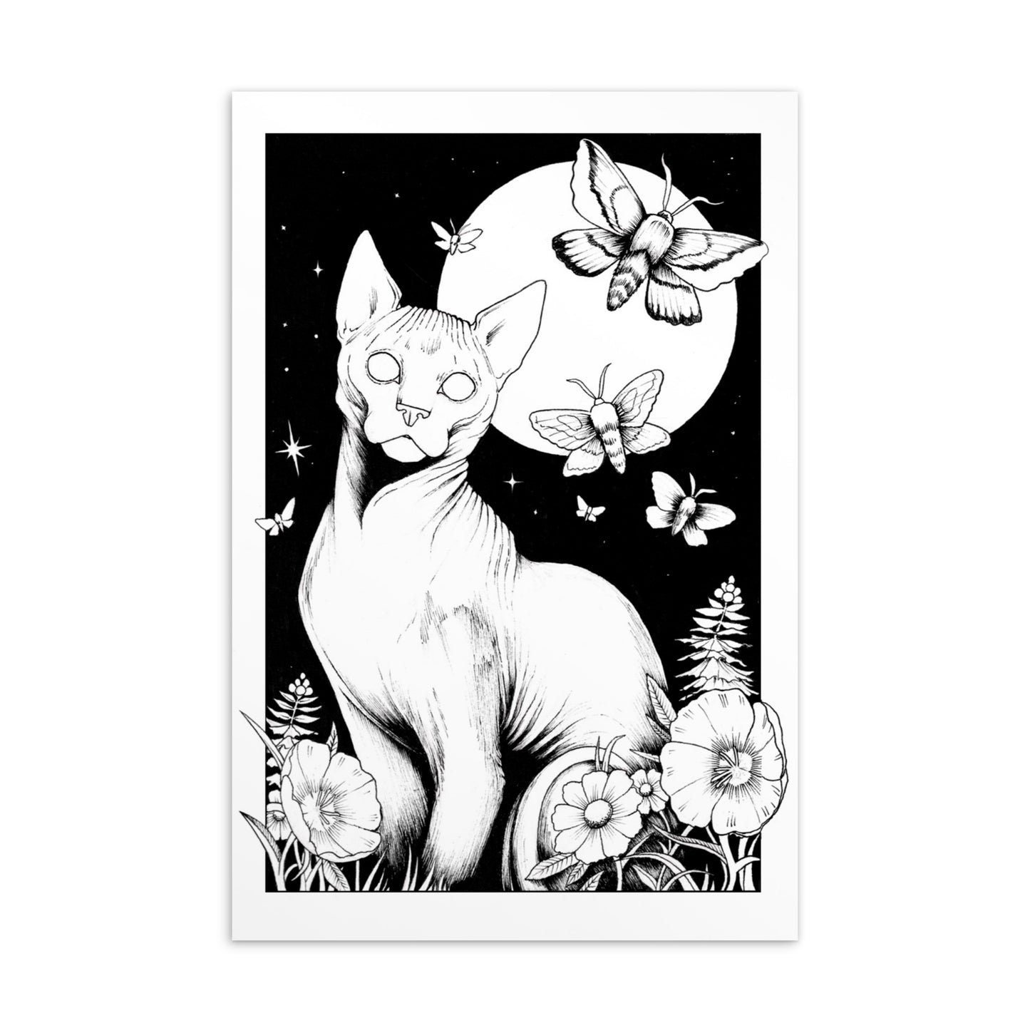 A black and white ink illustration by Kennedy Cooke-Garza of a hairless Sphynx cat sitting among wildflowers and ferns, under a large full moon and starry night sky filled with flying moths.