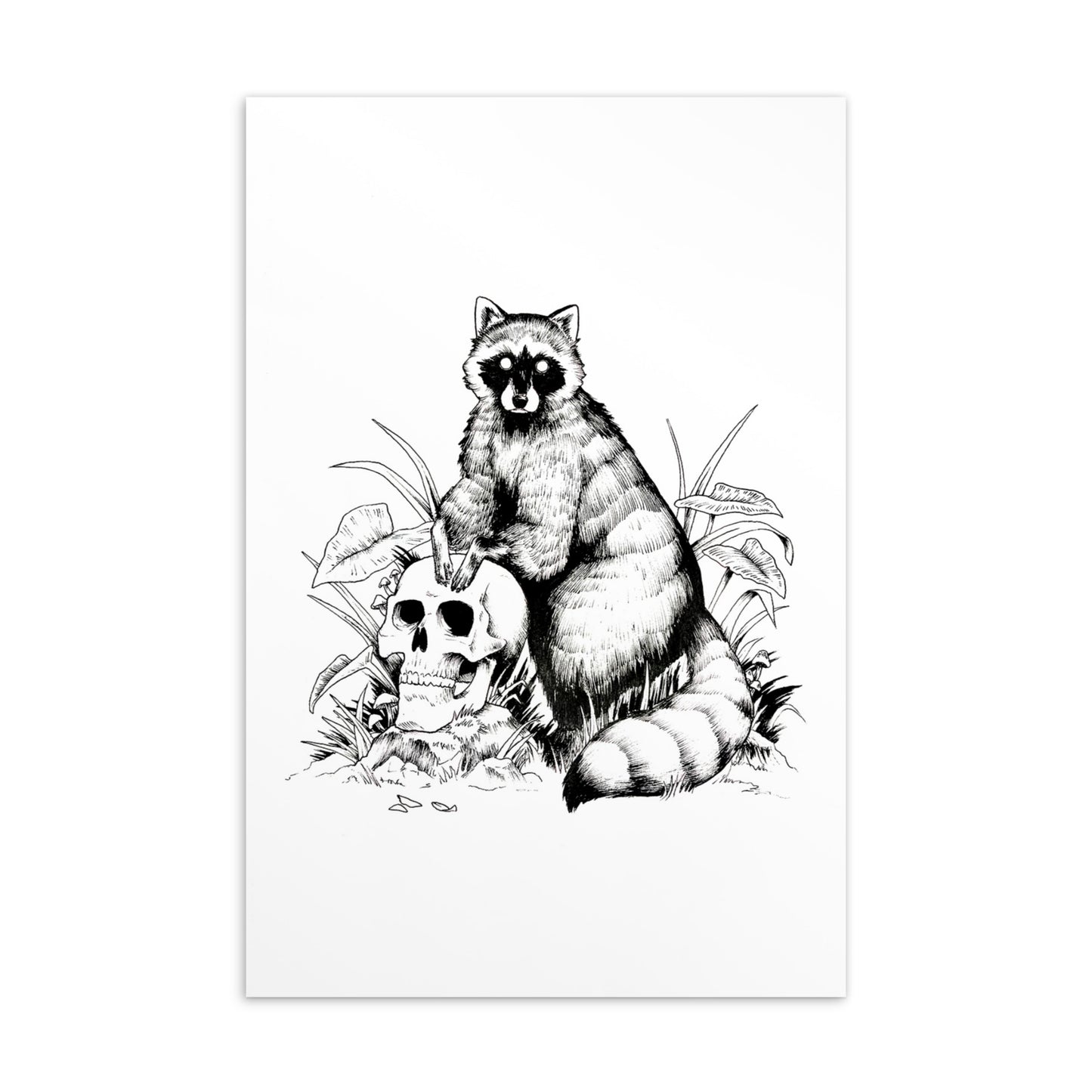 A black and white ink illustration of a raccoon sitting on top of a human skull, surrounded by tall blades of grass and leafy plants against a clean white background.
