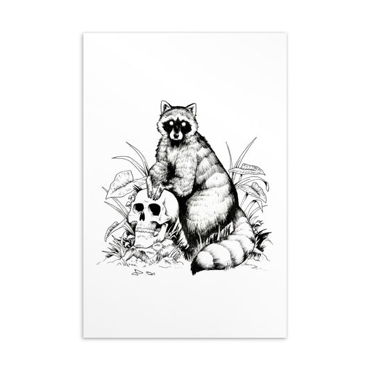 A black and white ink illustration of a raccoon sitting on top of a human skull, surrounded by tall blades of grass and leafy plants against a clean white background.
